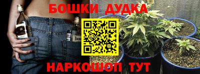 шишки Азнакаево