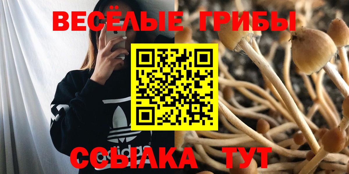 Алексин  Галлюциногенные грибы мицелий  Вход с VPN  наркотики  Псилоцибиновые грибы мухоморы 